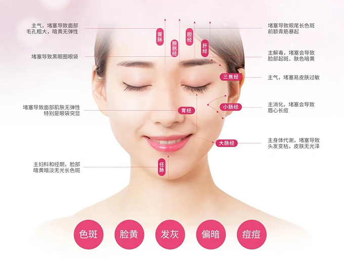 面部循行六阳经,阴经为脏,阳经为腑,五脏对六腑.